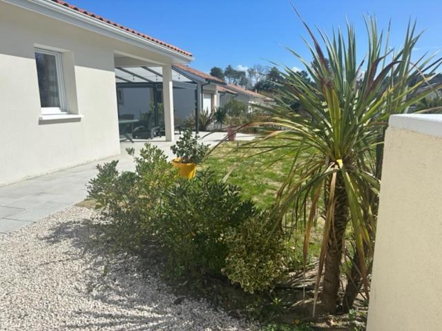 Maison MALOU 3 chambres, moins dd'un kilometre de toutes commodités, pistes cyclables devant l'entrée,a 10km de Bayonne, 6km Capbreton et 3,8km de la plage de Labenne Esterno foto